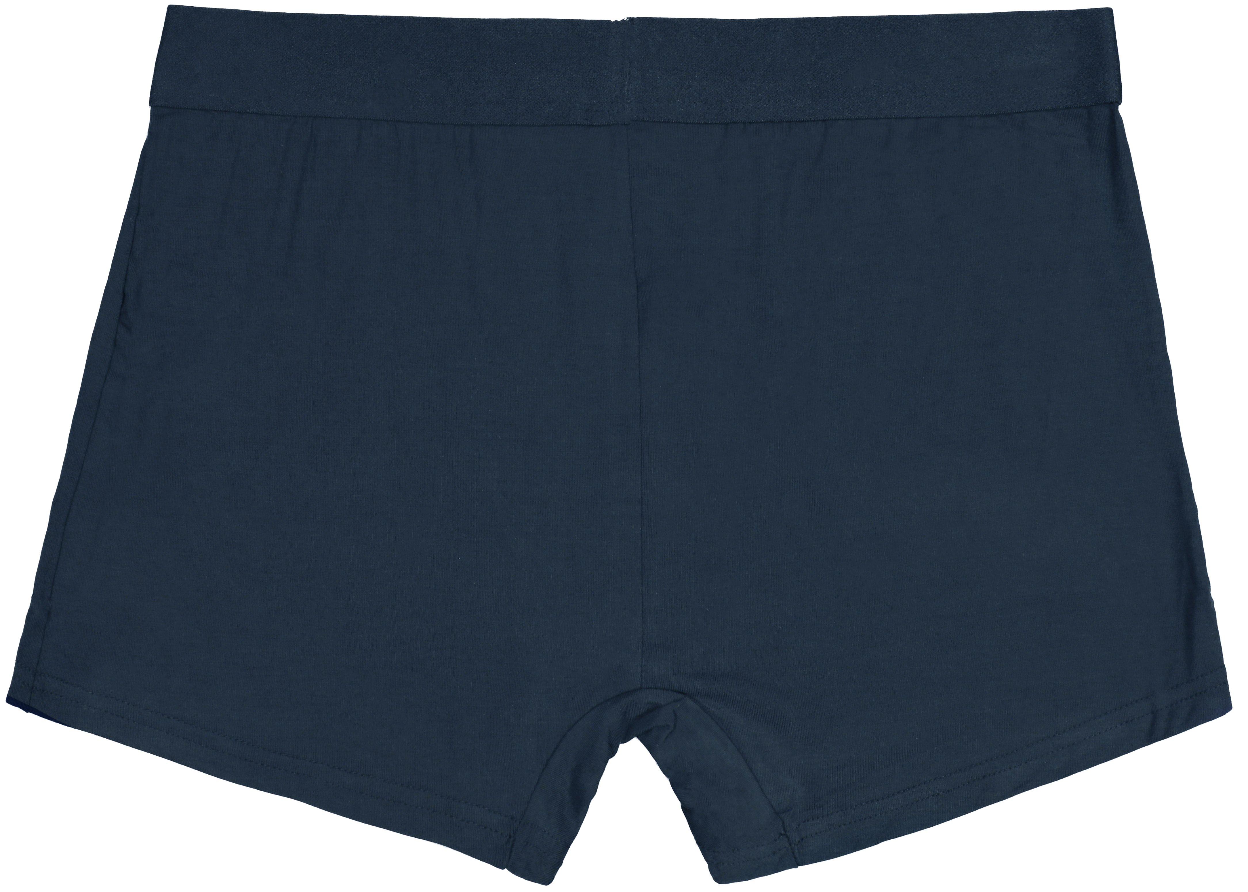 Urban Pioneers Male John Boxer BOXERSHORTS DRESS BLUES