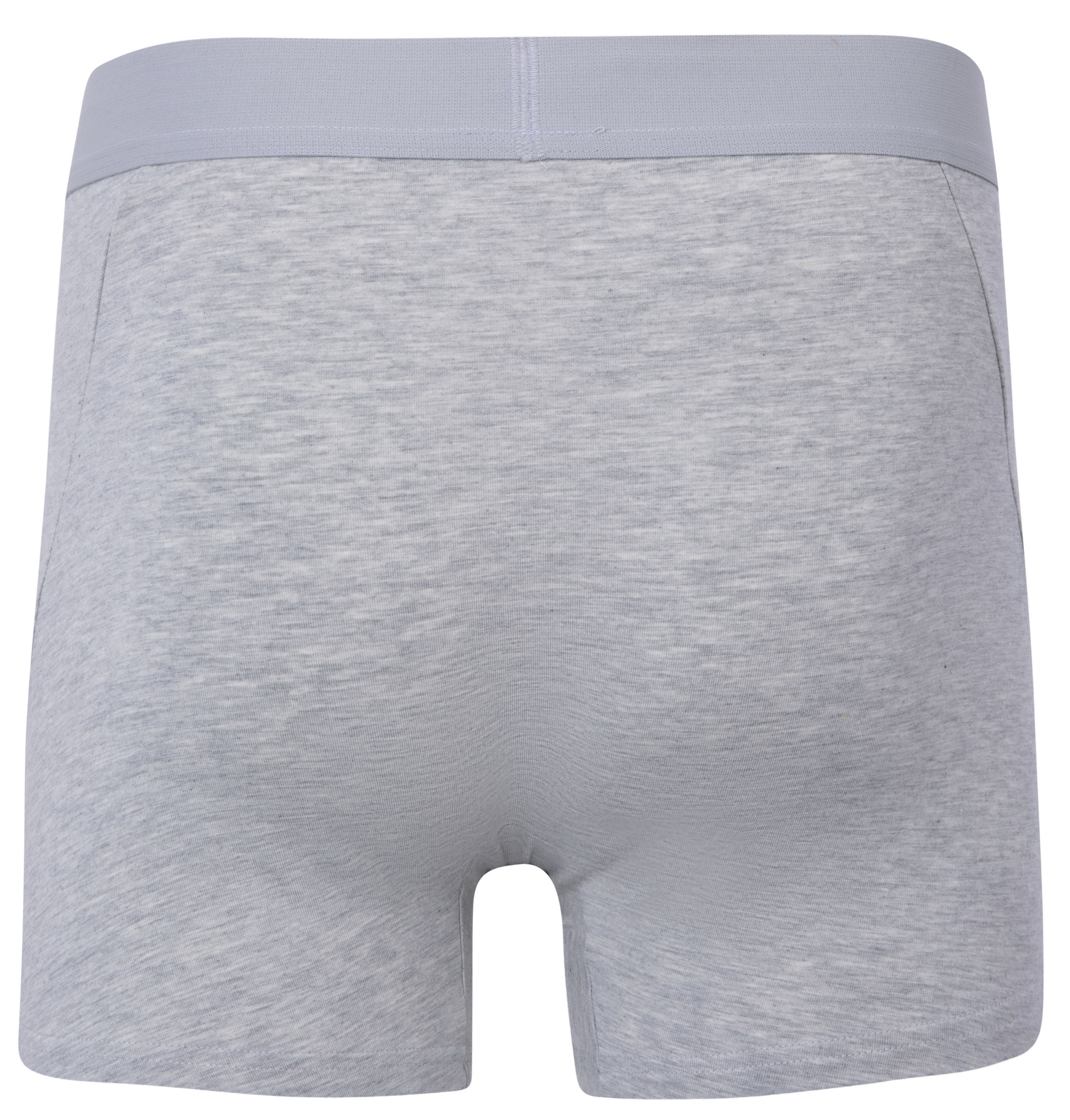 Urban Pioneers Male John Boxer BOXERSHORTS LIGHT GREY MELANGE